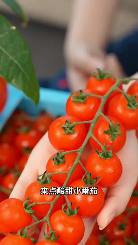 观赛场景即时需求 · 视频实际画面