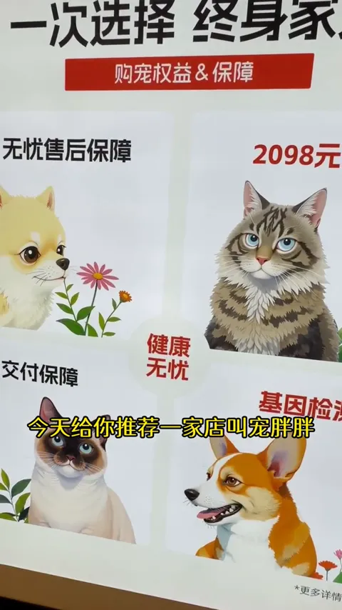 货架与产品说明 · 视频实际画面