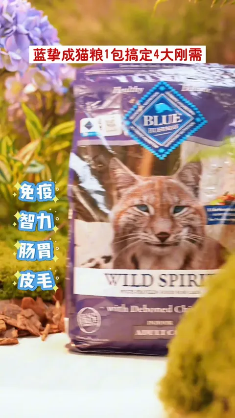 猫粮日常 · 产品展示 · 视频实际画面