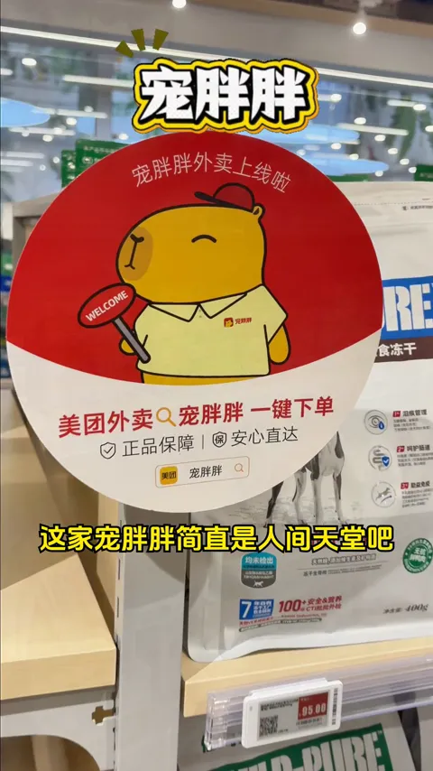 宠物门店 · 日常种草 · 视频实际画面
