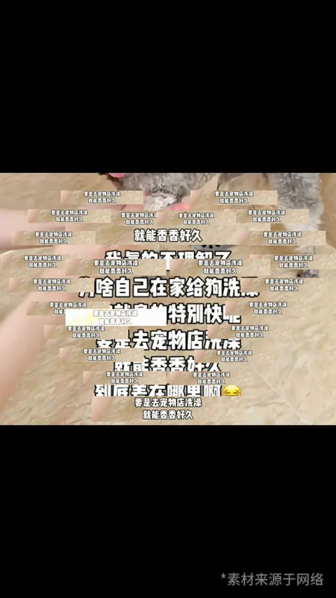 宠物洗护 · 门店服务介绍 · 视频实际画面